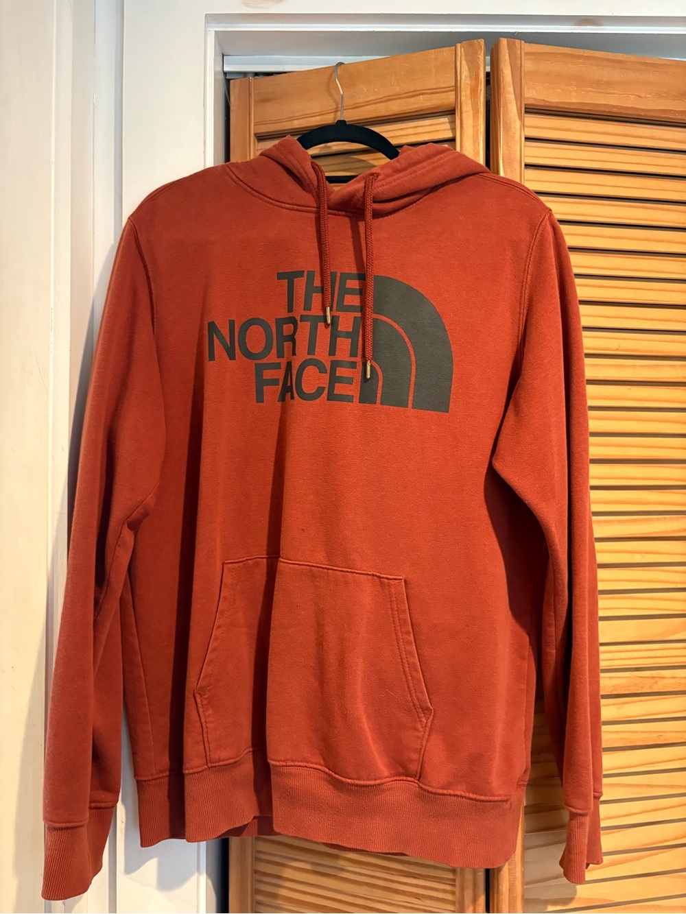 The North Face Men's Half Dome Pullover Hoodie Burnt Orange Rust Large Gorpcore
